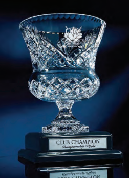 Crystal Recognition Cup