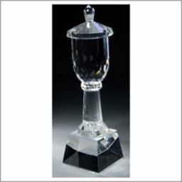 Classic Optic Crystal Trophy